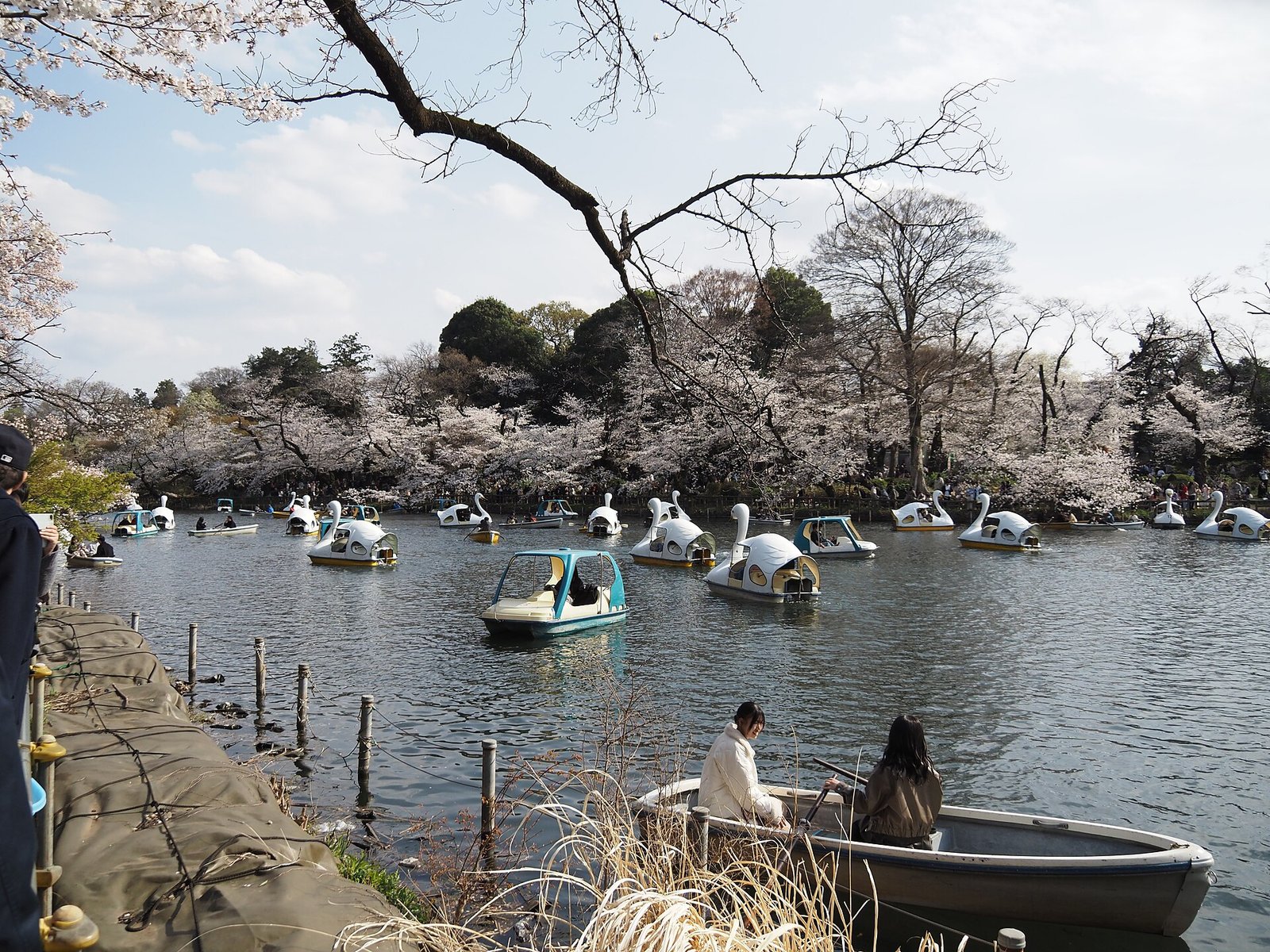 Best Time to Visit Japan: A Month-by-Month Guide for 2027