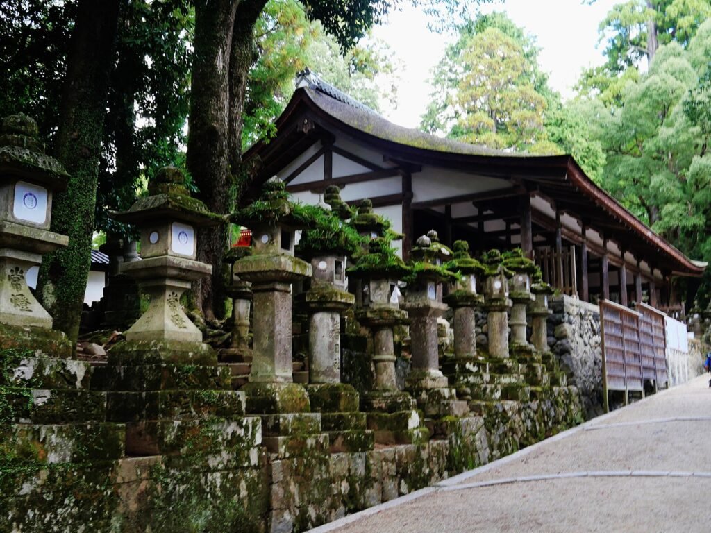 Stone lanterns on the approach to Kasuga Taisha