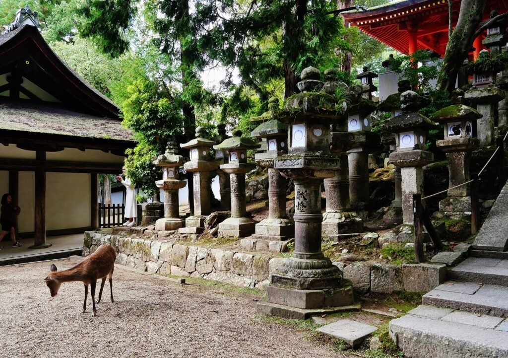 Kasuga Taisha Nara Lanterns