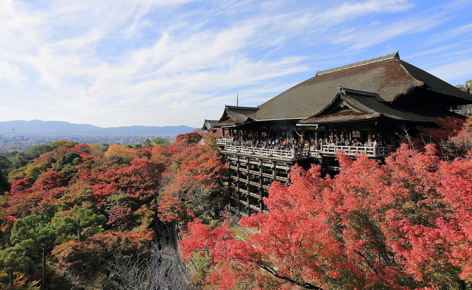 What Changed in Japan for Travellers in 2026 (A Running List)