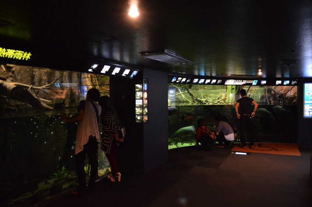 Osaka Aquarium Kaiyukan