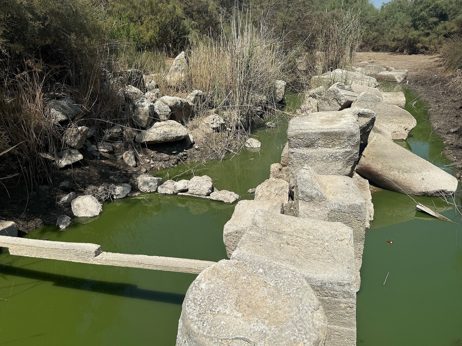 Standing water among the ruins of ancient Patara