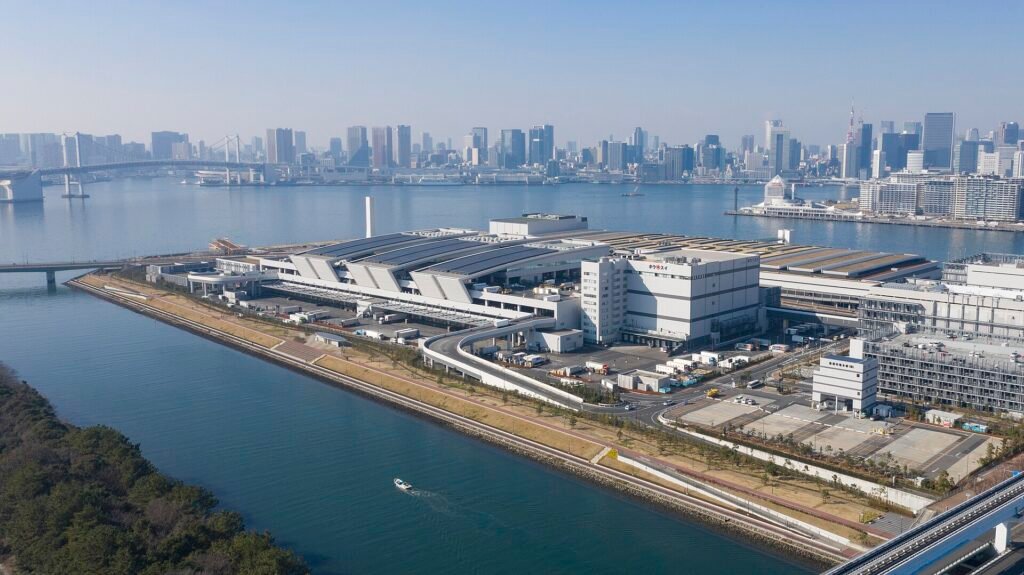 Toyosu Market Tokyo