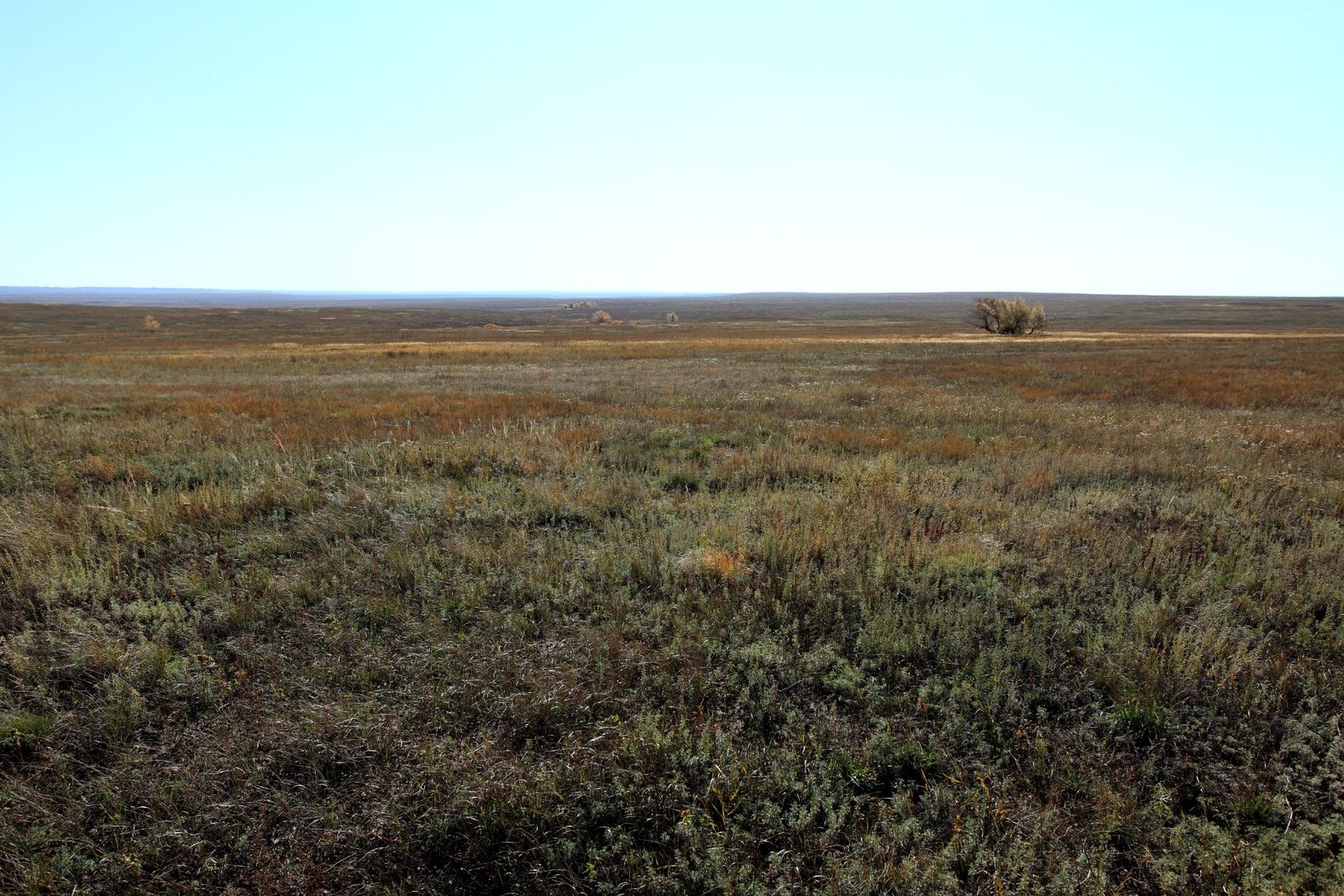 Open steppe landscape in Kazakhstan