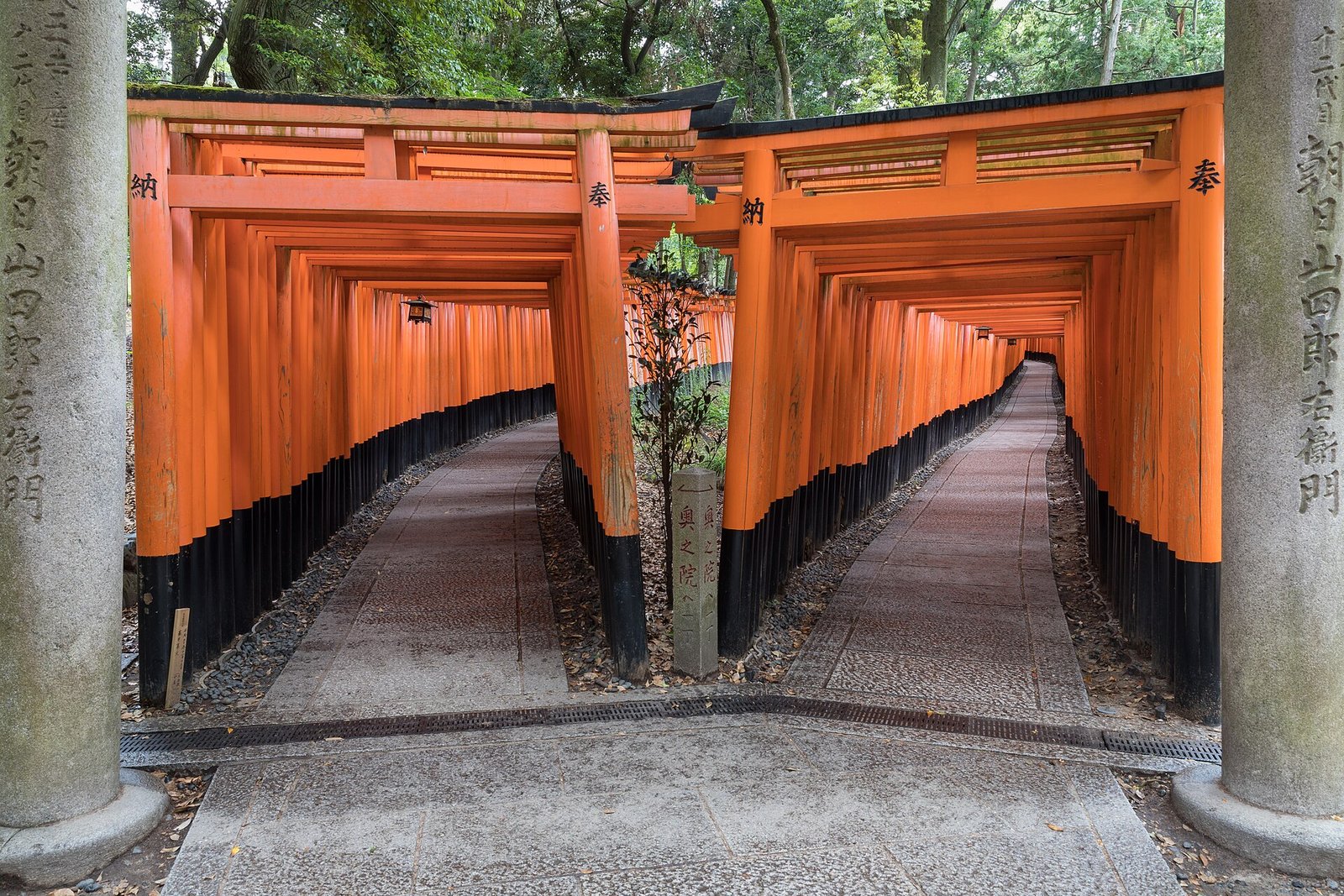 The torii gate tunnels at Fushimi Inari, Kyoto