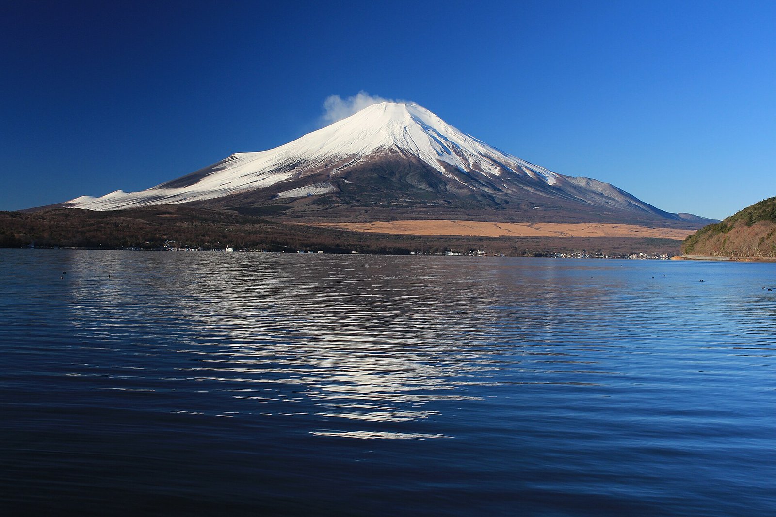 The Perfect 7-Day Japan Itinerary for 2026 (With Real Costs)