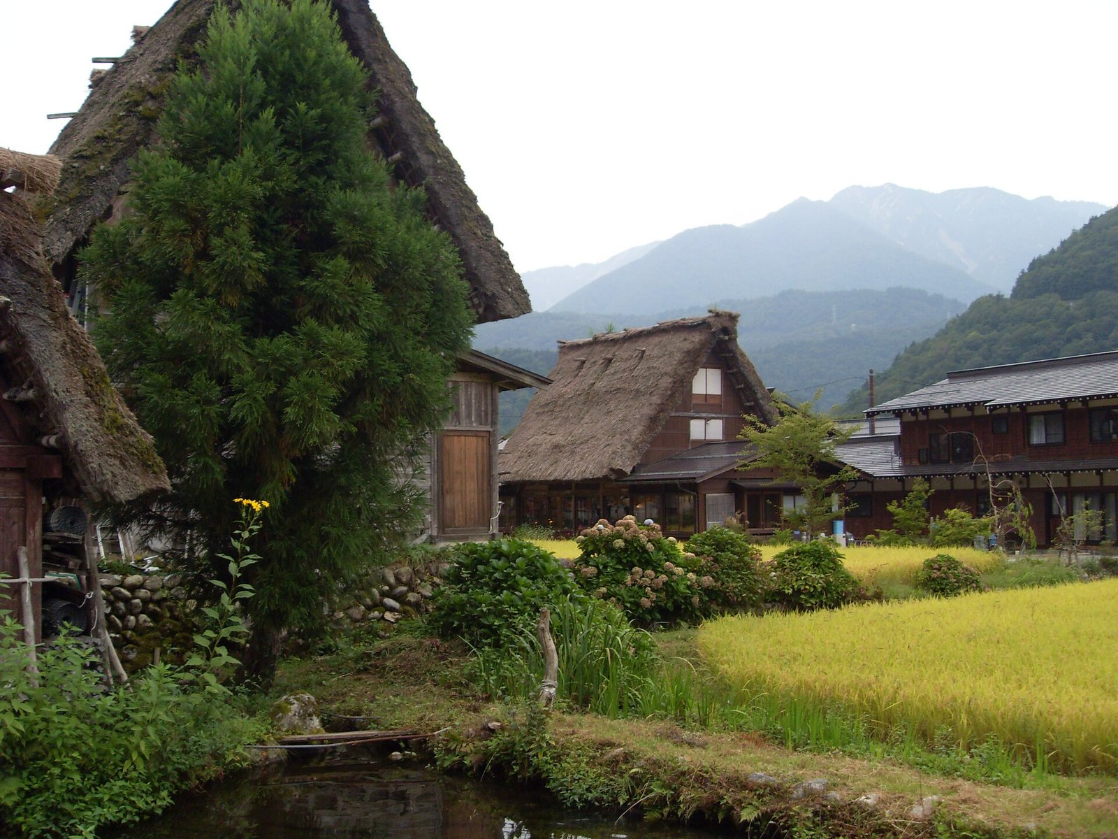 12 Genuinely Hidden Places in Japan (And What They Cost in 2026)