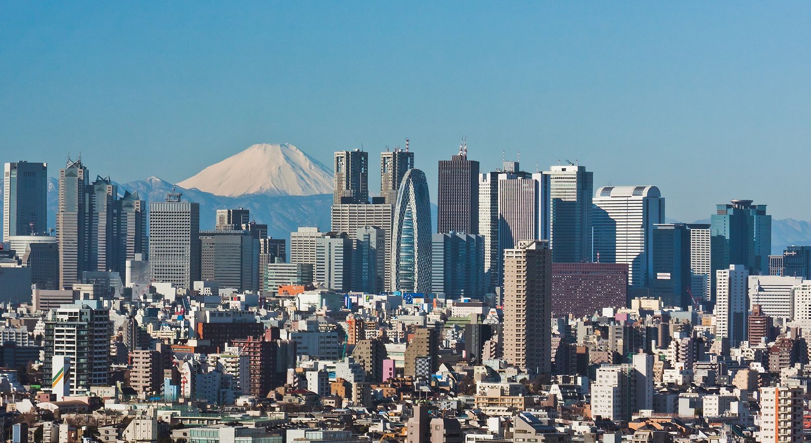The Shinjuku skyline in Tokyo