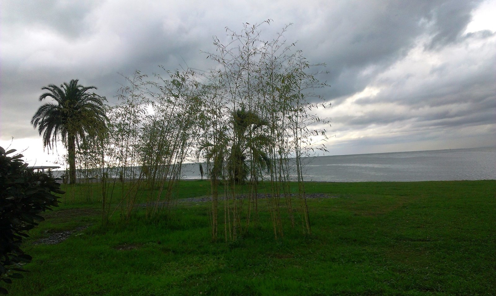 Batumi skyline on the Black Sea coast, Georgia
