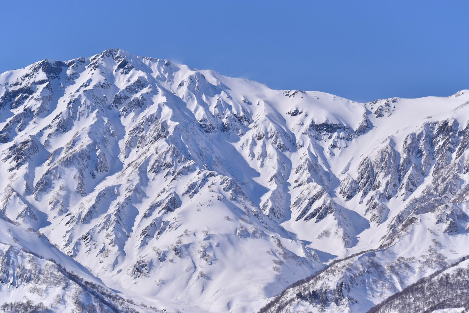 Japan Winter 2026-27: What Actually Changed This Season