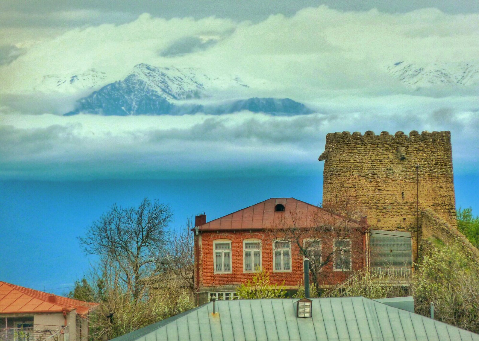 Georgia Wine Region Guide 2026: Kakheti, Sighnaghi and Telavi