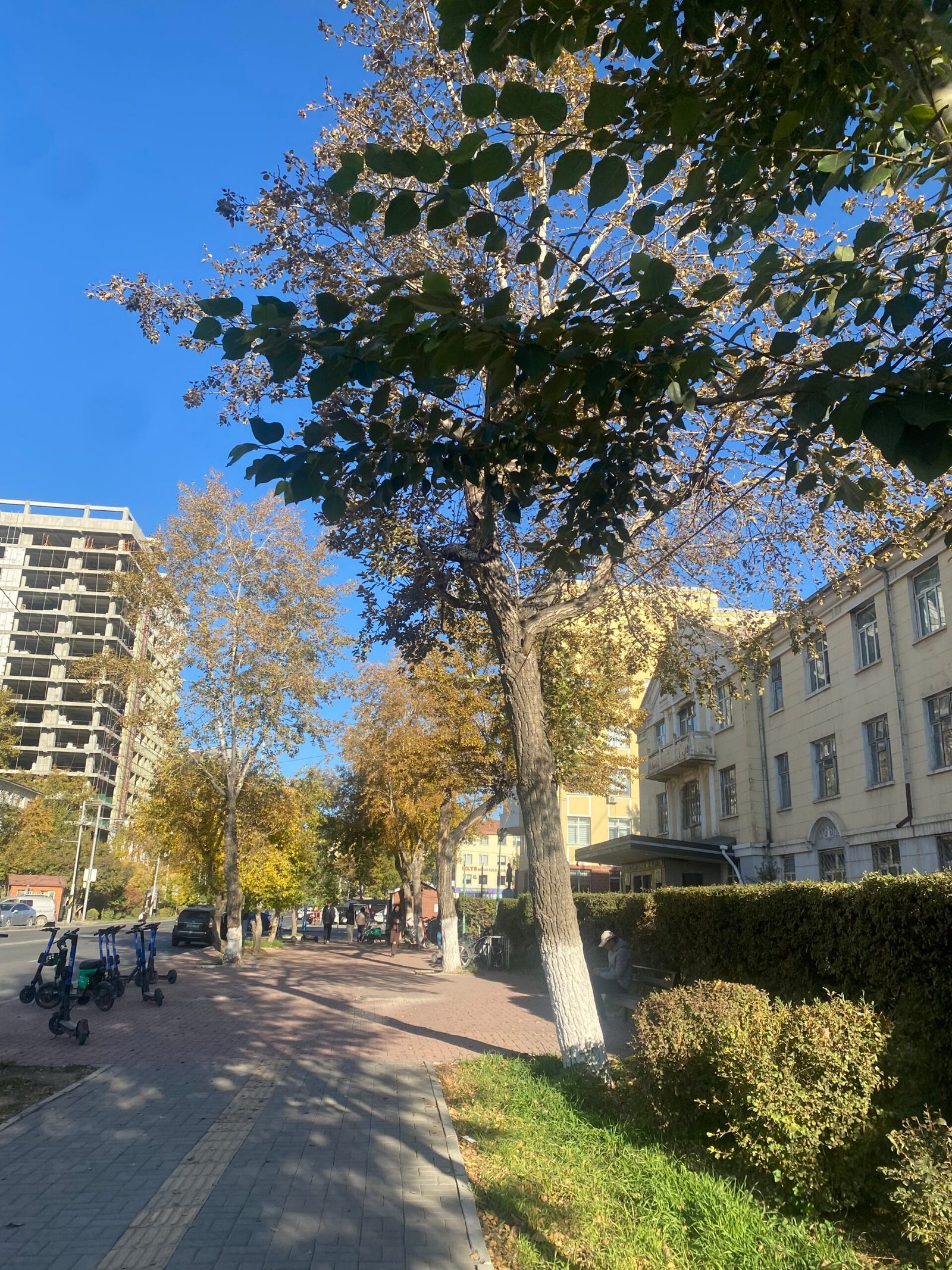 Ulaanbaatar Guide 2026: Getting Around, Money and What to Skip